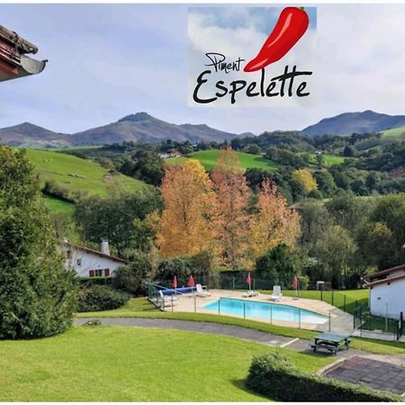 Bol D'Air Pur Au Coeur Du Pays Basque Apartman Souraïde Kültér fotó