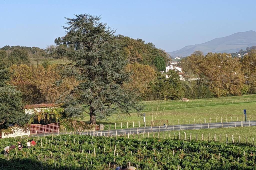 Bol D'Air Pur Au Coeur Du Pays Basque Apartman Souraïde Kültér fotó